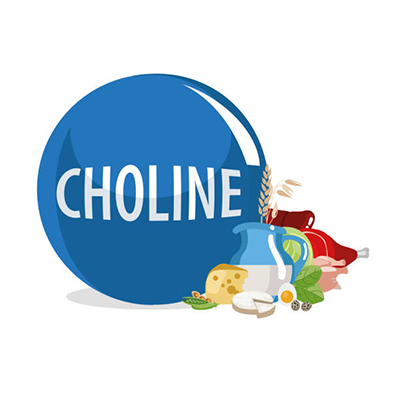 Bitartrate choliny